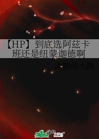 【HP】到底选阿兹卡班还是纽蒙迦徳啊