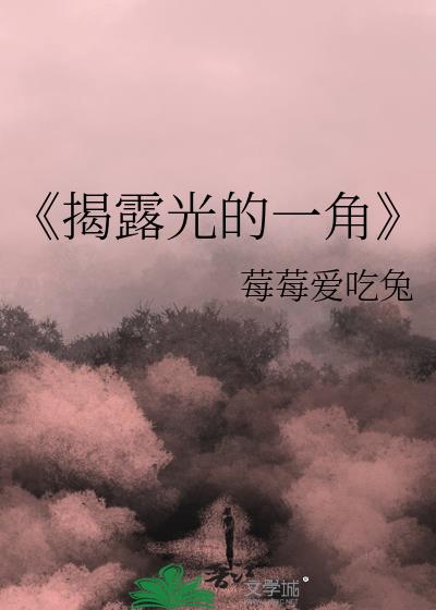 《揭露光的一角》