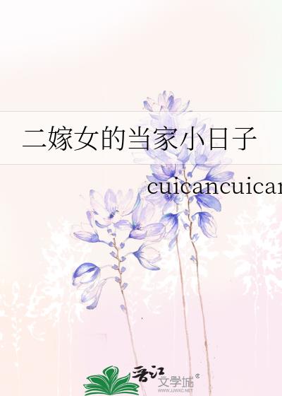 二嫁女的当家小日子