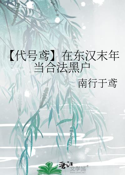 【代号鸢】在东汉末年当合法黑户