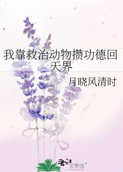 我靠救治动物攒功德回天界