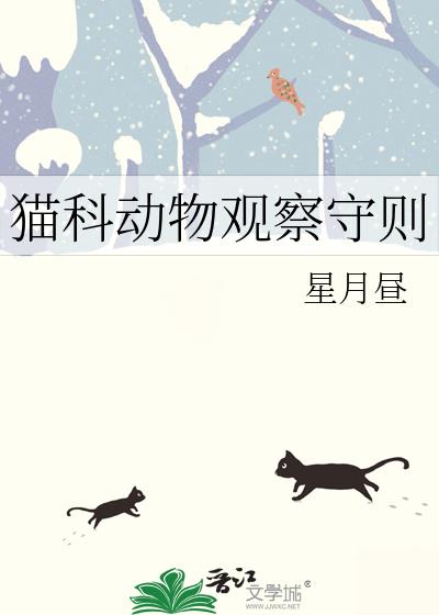 猫科动物观察守则