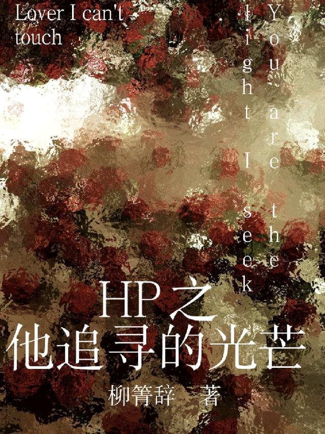 HP之他追寻的光芒